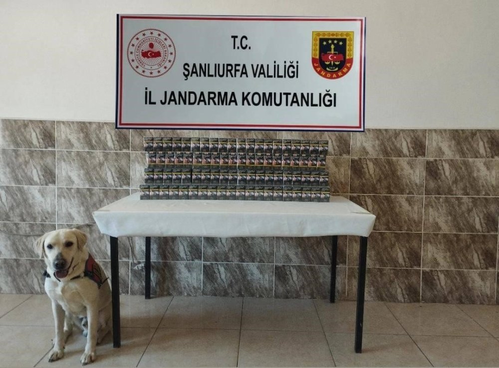 Urfa’da 7 bin 940 paket kaçak sigara ele geçirildi