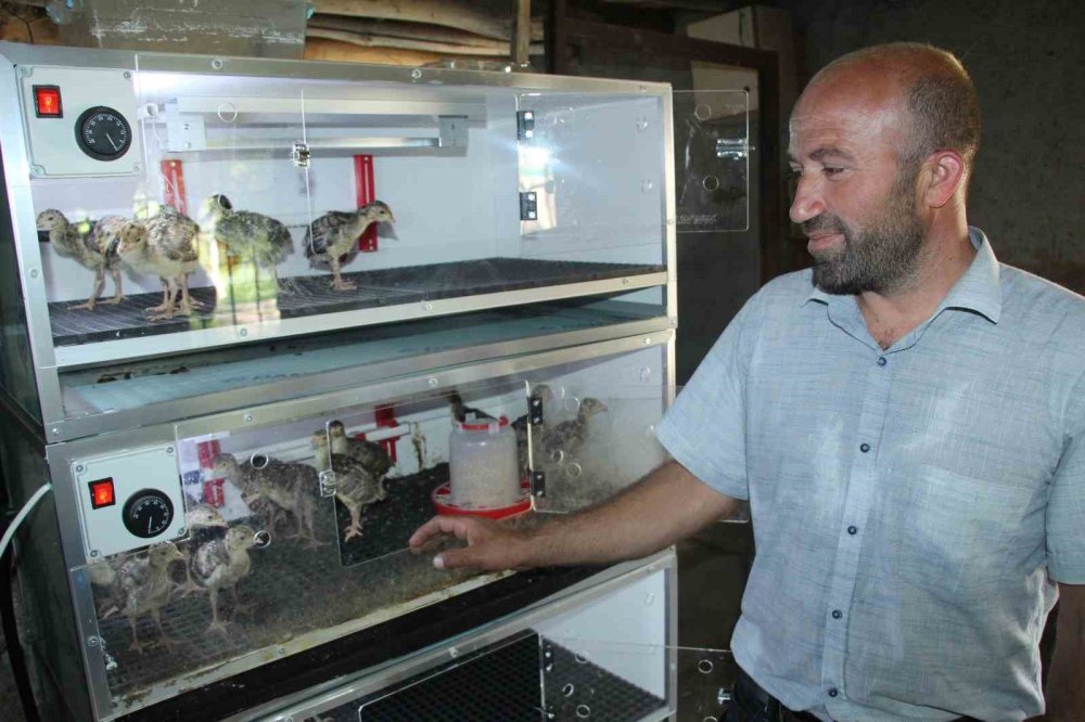 Engelli aile bireyleri nedeniyle evinden çıkamadı, çiftliği eve taşıdı