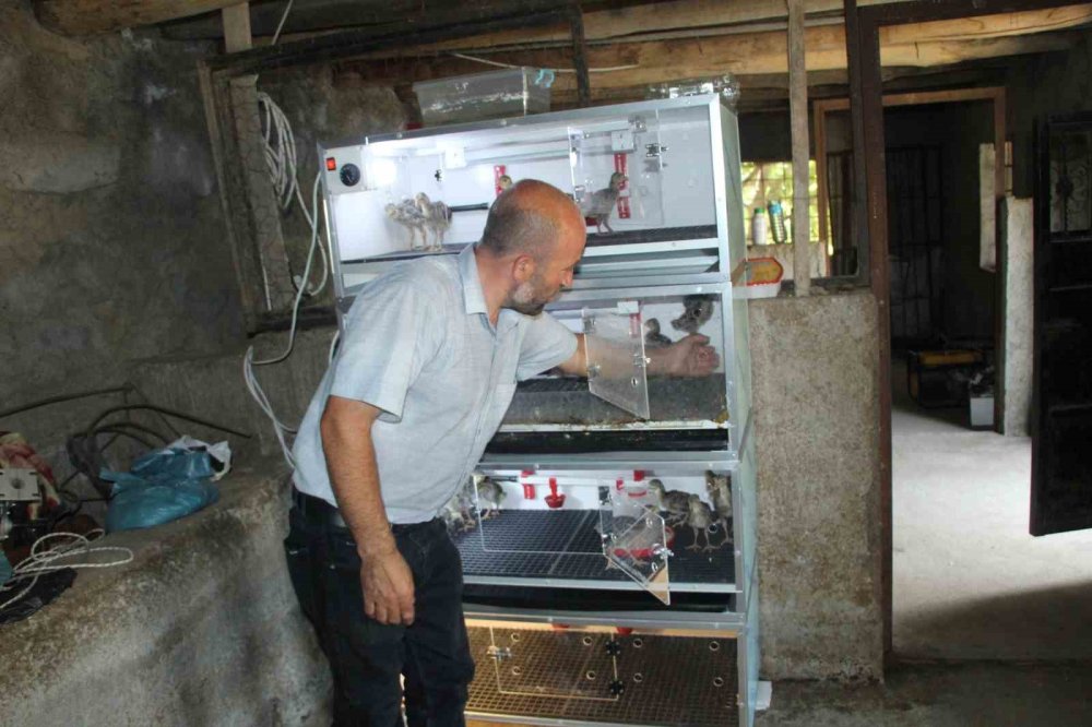 Engelli aile bireyleri nedeniyle evinden çıkamadı, çiftliği eve taşıdı