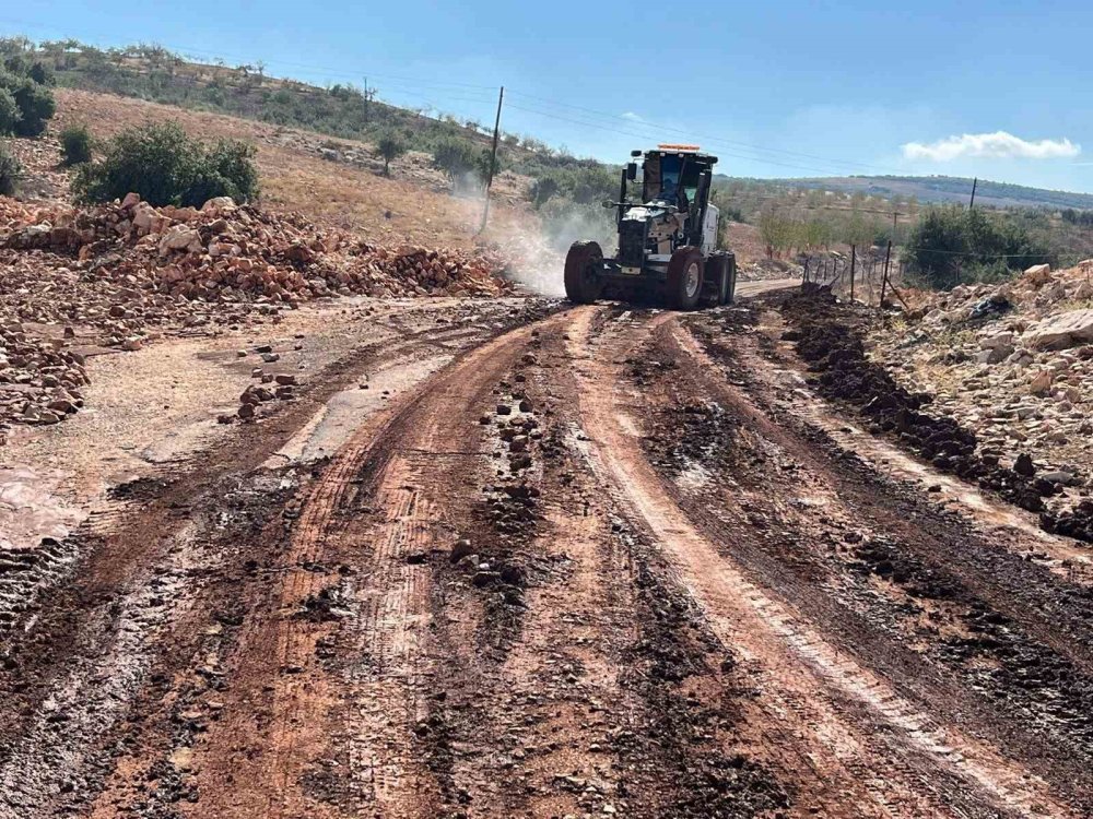 Etkili olan yağmur Besni'de tarlaları sular altında bıraktı