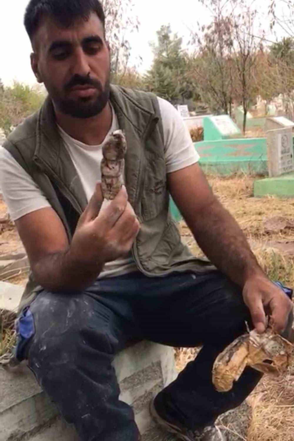 Mezarlıkta kefenlenmiş oyuncak bebek buldu