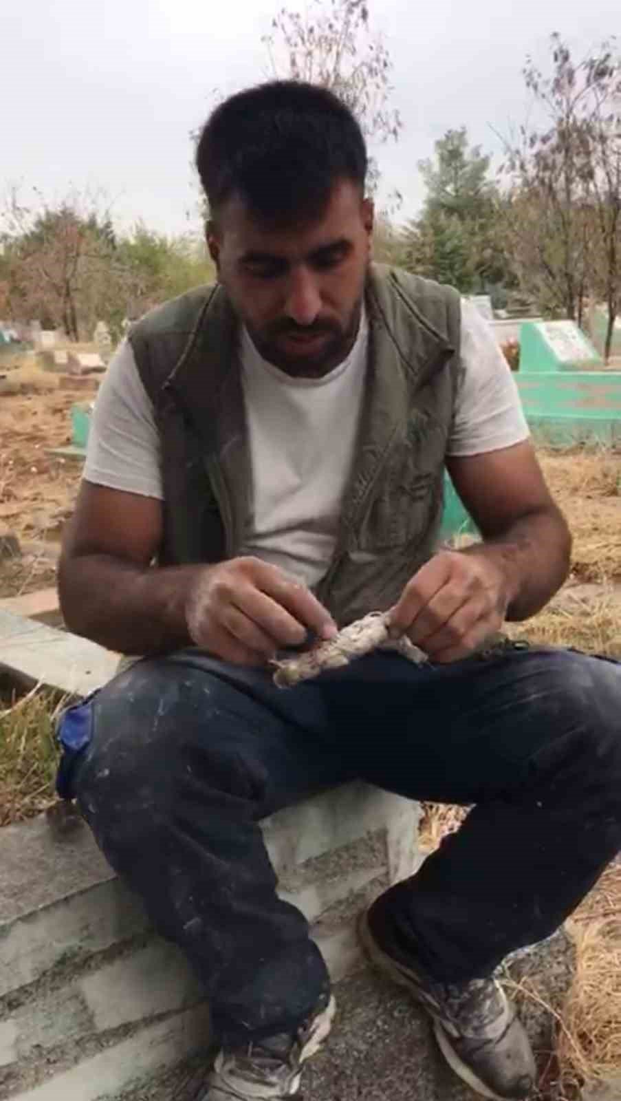 Mezarlıkta kefenlenmiş oyuncak bebek buldu