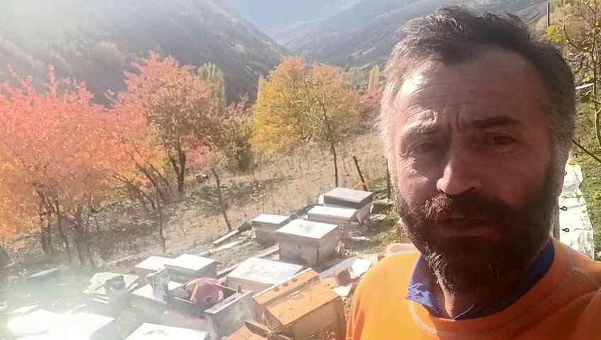 Boz ayılar Yedigölleri savaş alanına çevirdi