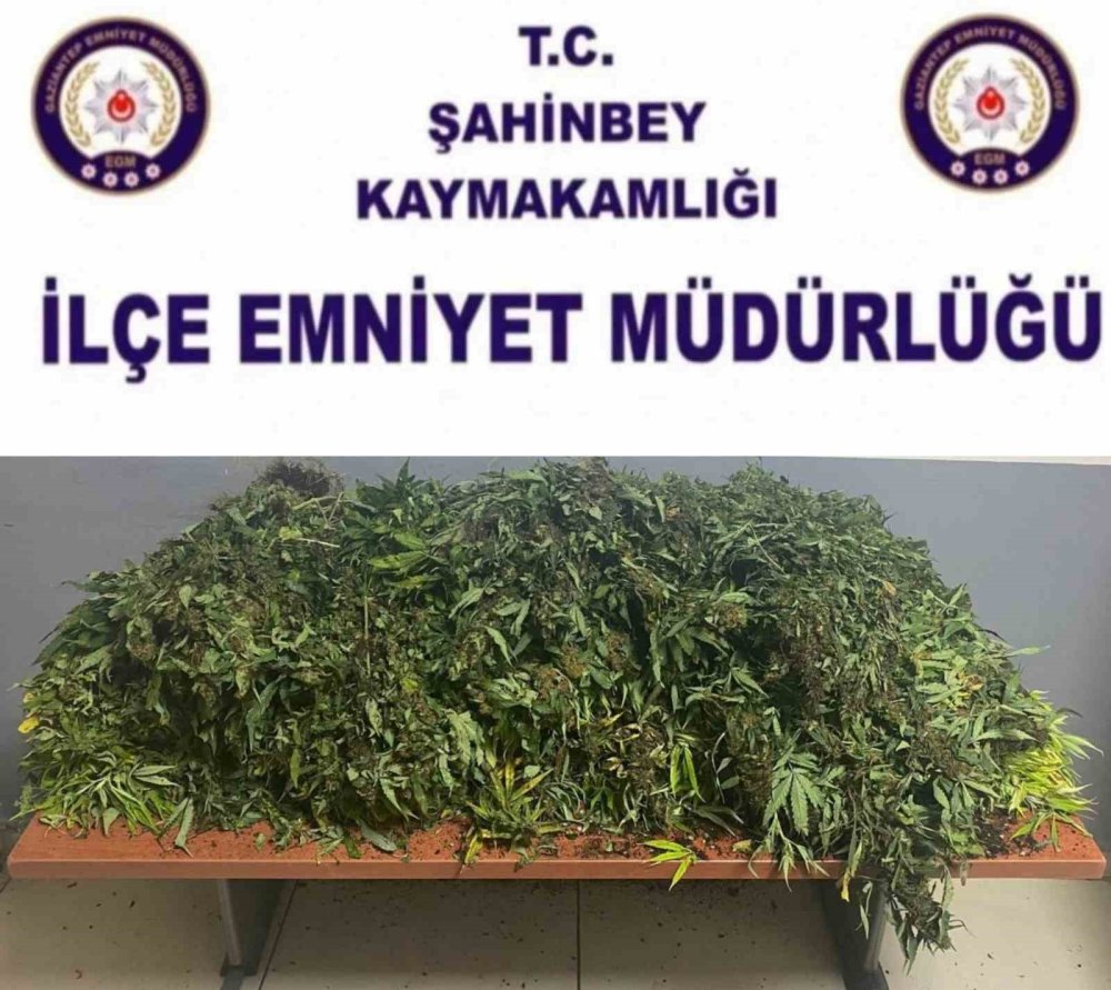 Antep’te asayiş operasyonu: 4 gözaltı