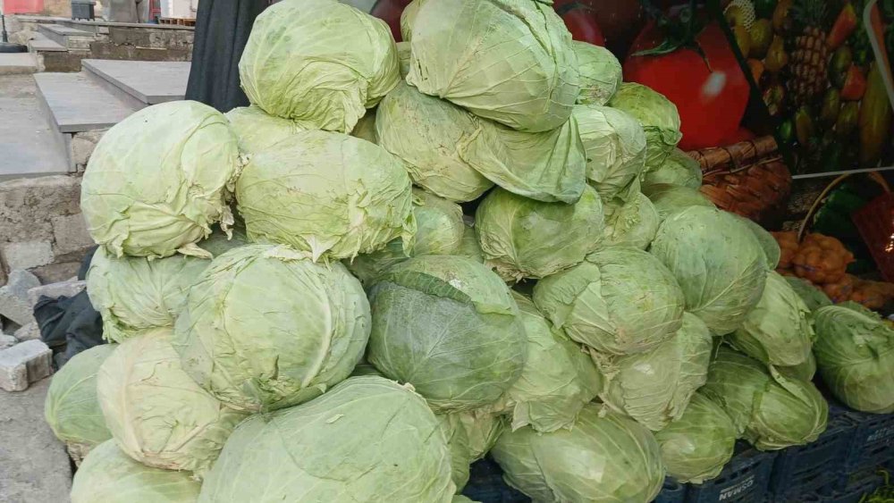 Muş lahanaları Diyarbakır’daki tezgahlarda yerini aldı