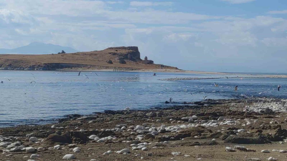 Van Gölü’nde su seviyesi düştü, antik yol ortaya çıktı