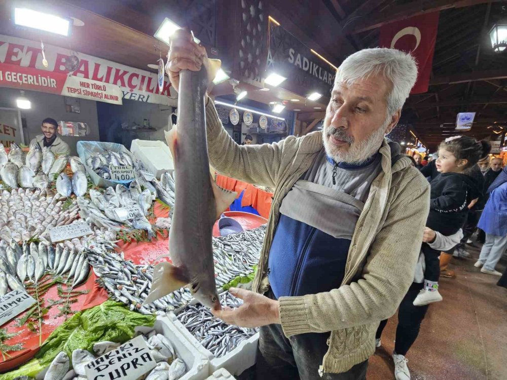 Elazığ’da satışa çıkarılan köpek balığı ilgi odağı oldu