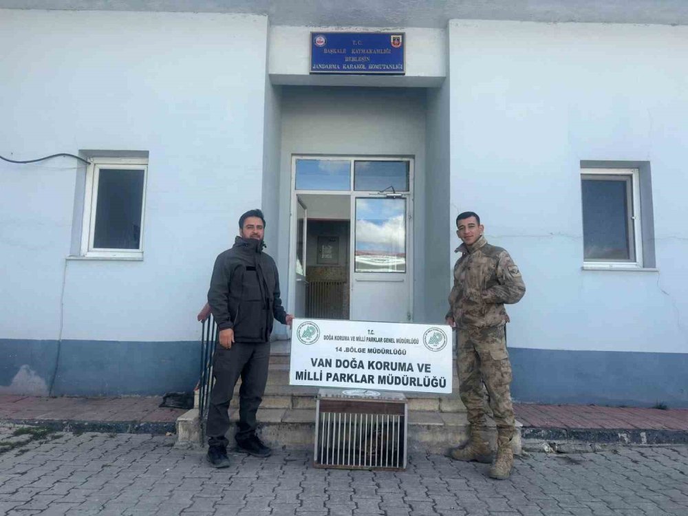 Van’da kafes avcısına 29 bin 140 lira caza