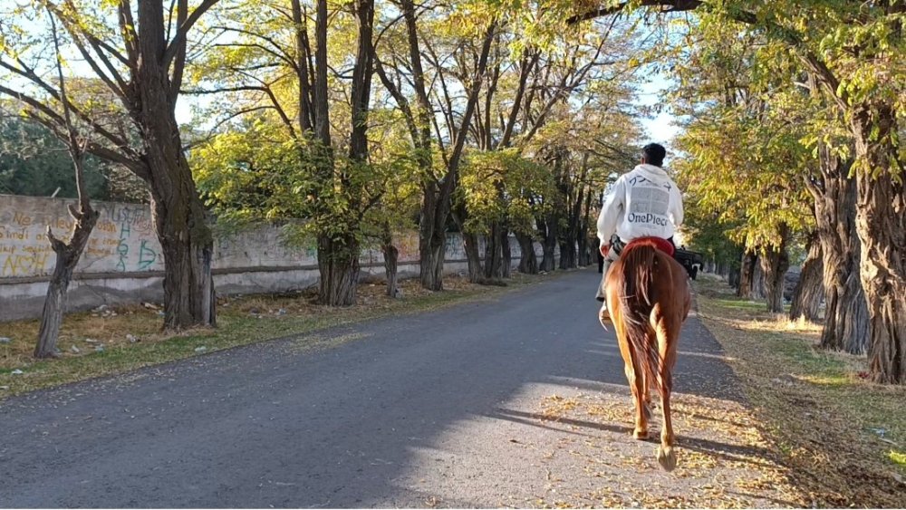 Van’da sonbaharın renk cümbüşü