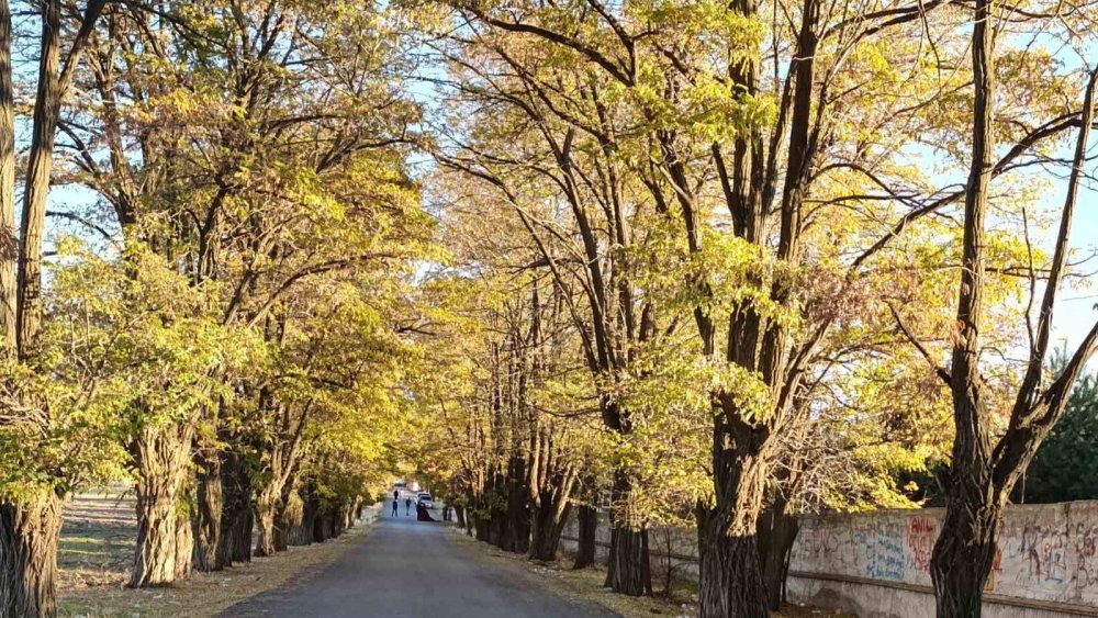 Van’da sonbaharın renk cümbüşü