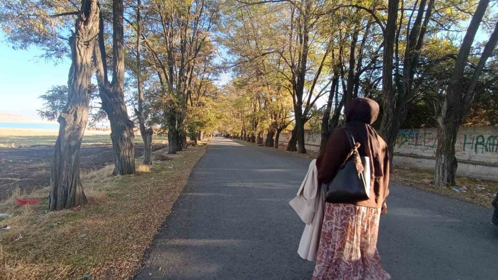 Van’da sonbaharın renk cümbüşü