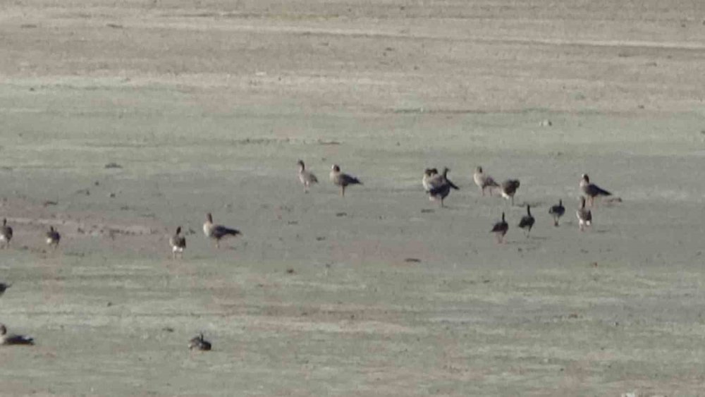 Zorlu göçün durağı Erçek Gölü