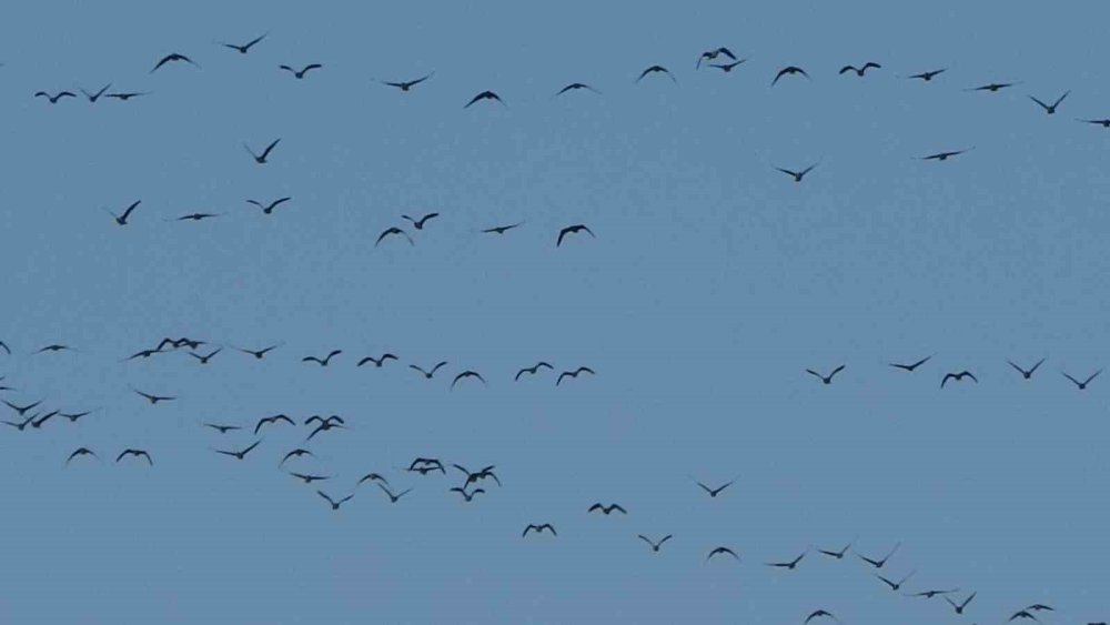 Zorlu göçün durağı Erçek Gölü