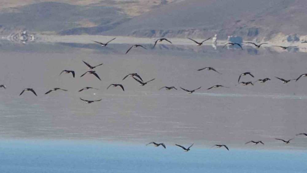 Zorlu göçün durağı Erçek Gölü
