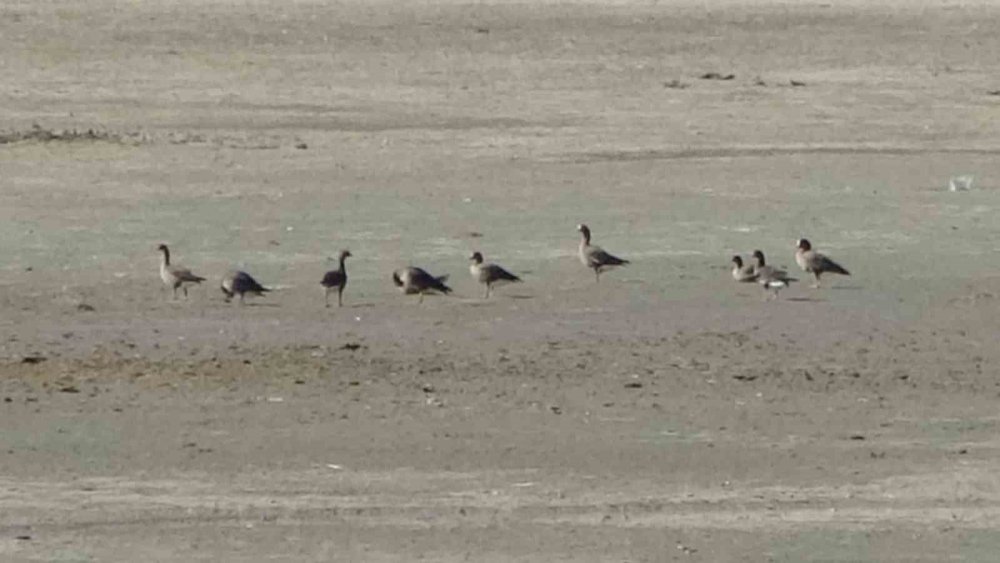 Zorlu göçün durağı Erçek Gölü