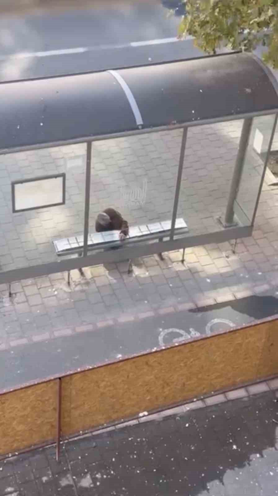 Midyat'ta duyarlı vatandaş, yolcular üşümesin diye durağın oturma yerlerini halıyla kapladı