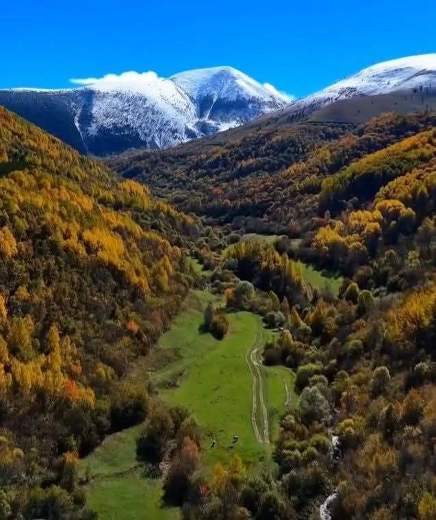 Posof’ta sonbahar güzelliği