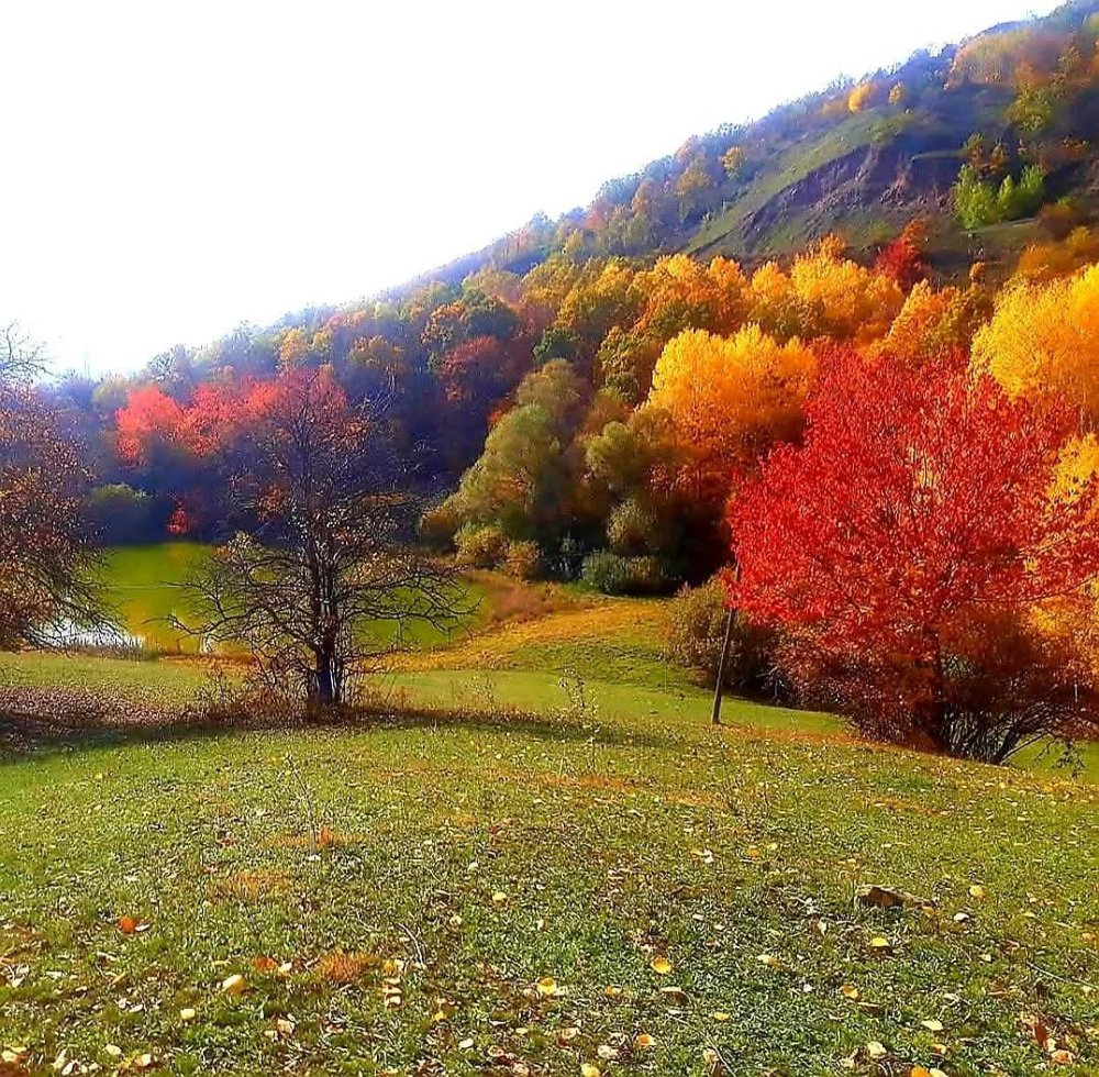 Posof’ta sonbahar güzelliği