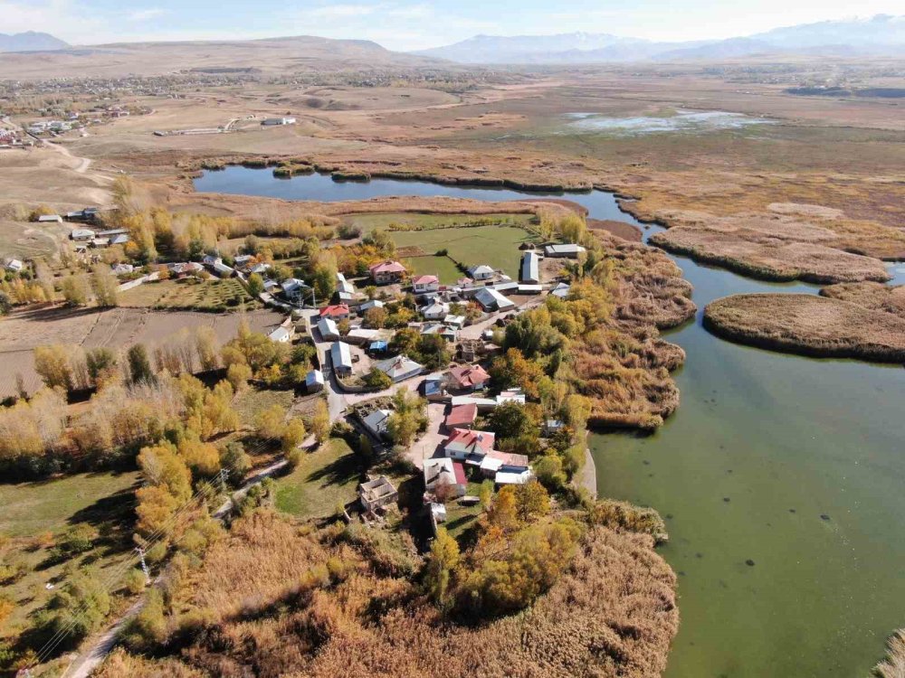 Van'ın Dilkaya Deltası’nda sonbahar güzelliği