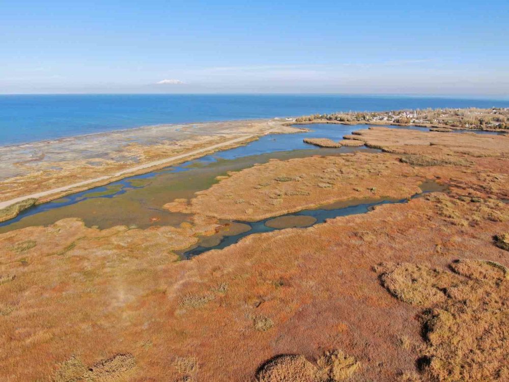 Van'ın Dilkaya Deltası’nda sonbahar güzelliği