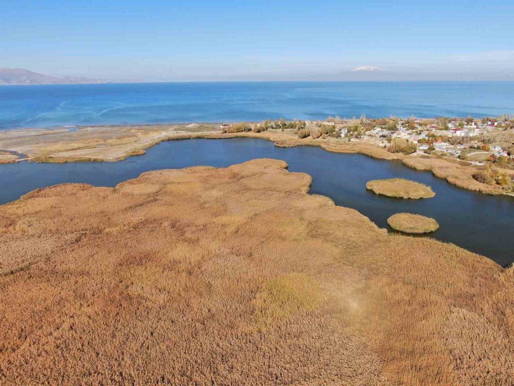 Van'ın Dilkaya Deltası’nda sonbahar güzelliği