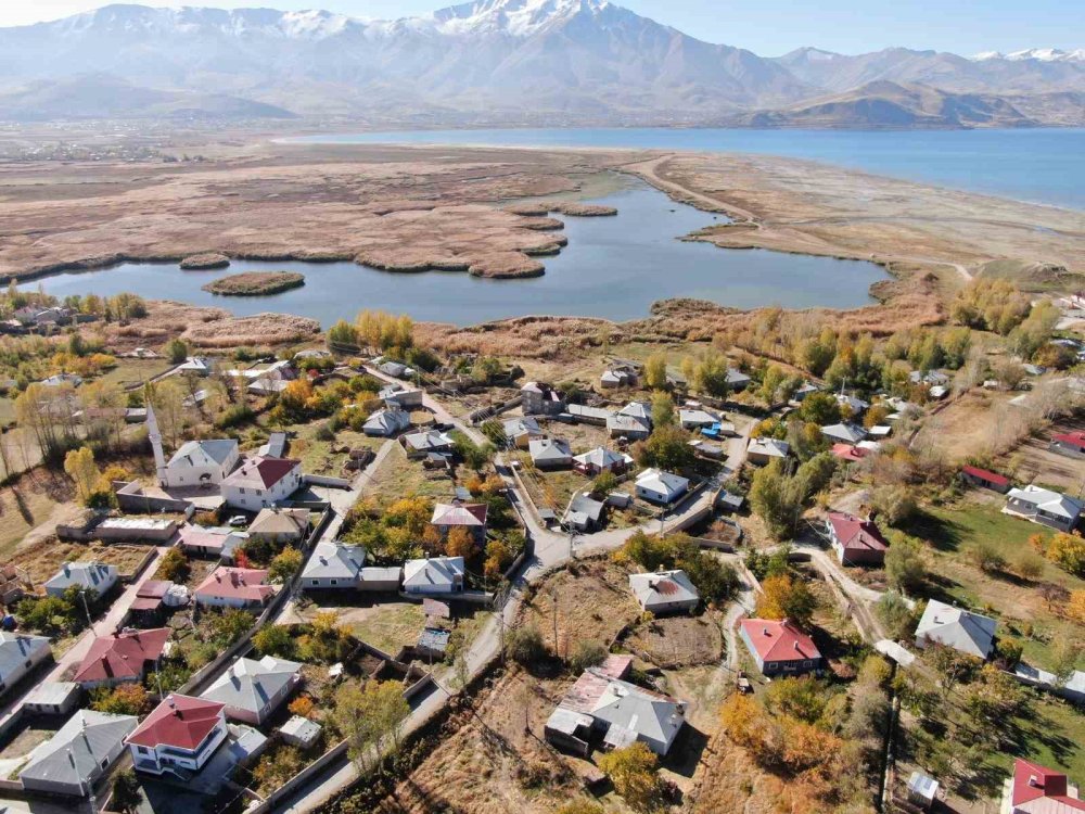 Van'ın Dilkaya Deltası’nda sonbahar güzelliği