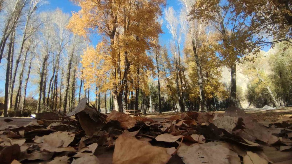 Van’ın sonbahar güzelliği