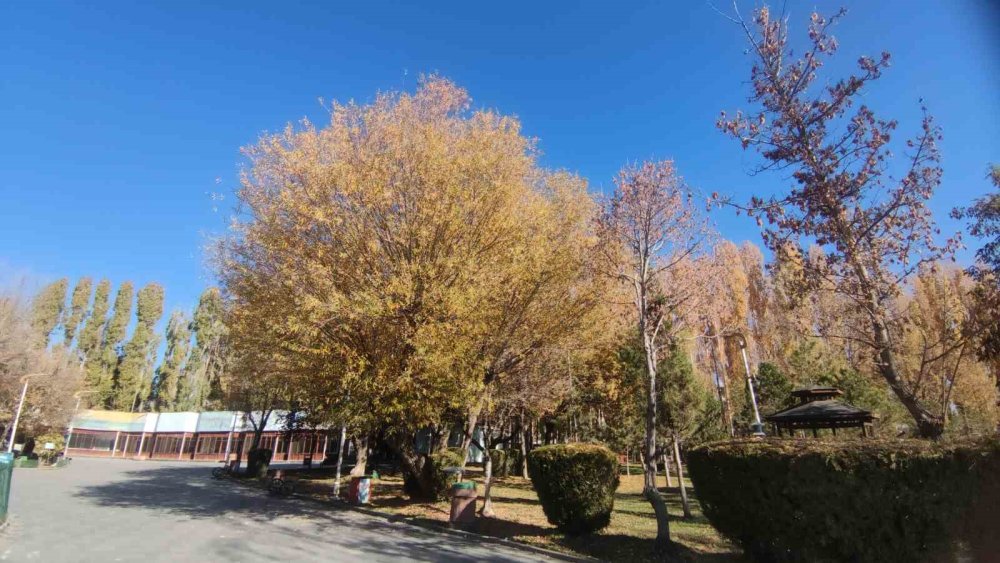 Van’ın sonbahar güzelliği