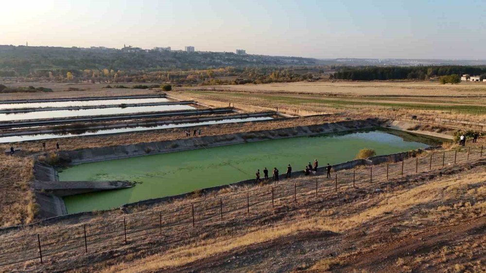 Yüksekova'da görevli olan, tedavi için gittiği hastanede kayıplara karışan polisi arama çalışmaları sürüyor
