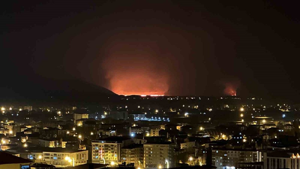 Yüksekova’da kuş cennetindeki yangın sabaha kadar sürdü