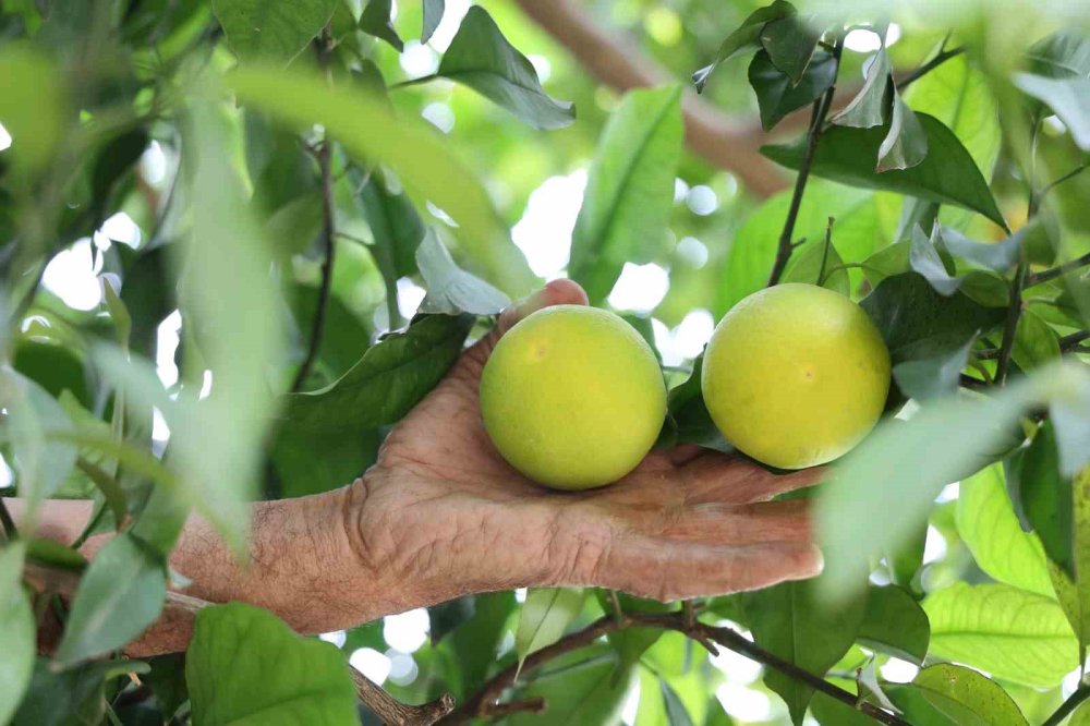 Çüngüş'ün bu köyünde ne eksen onu biçiyorsun