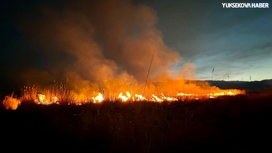 nehil-sazligi-yangin-yuksekova-001.jpeg