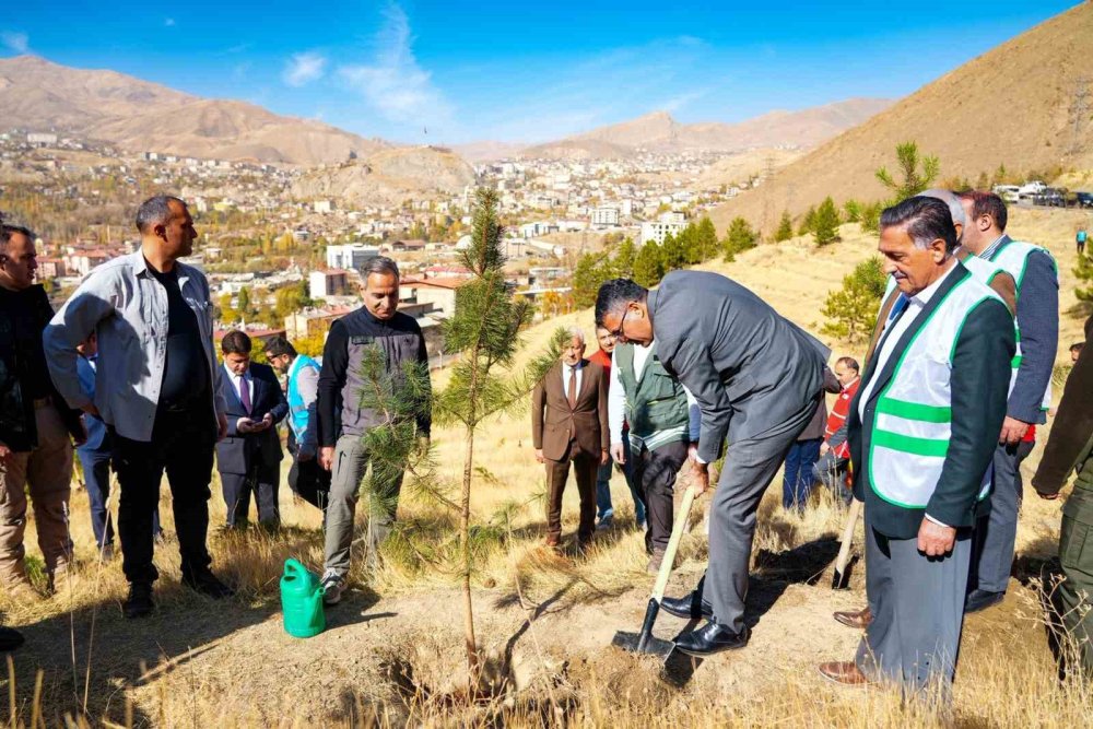 Tuğgeneral Öz, Hakkari'de fidan dikti