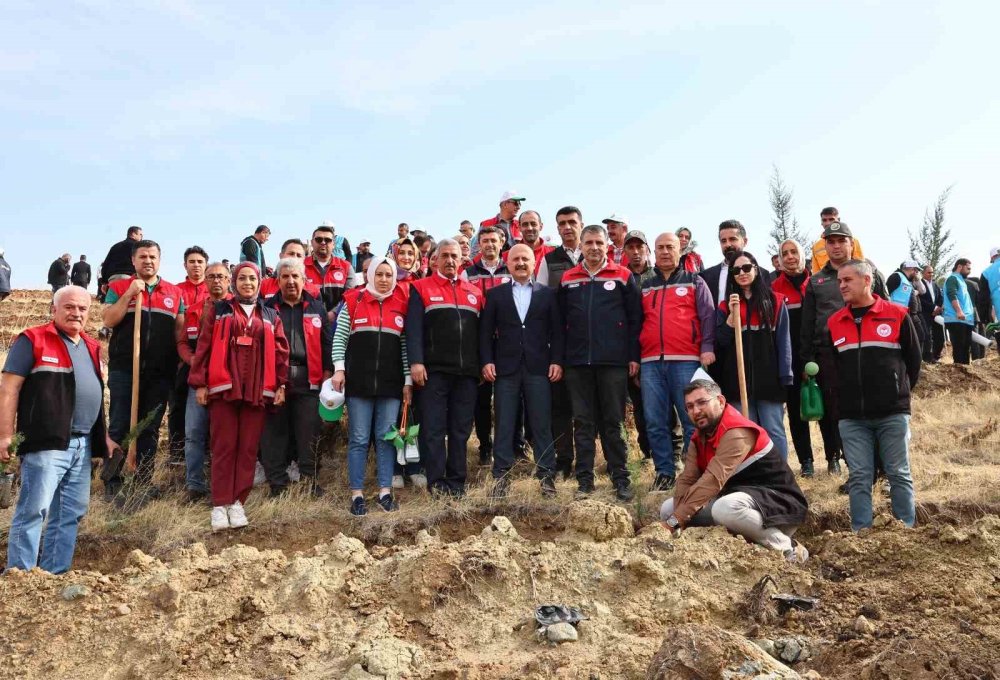 Adıyaman’da 10 bin 500 fidan dikildi