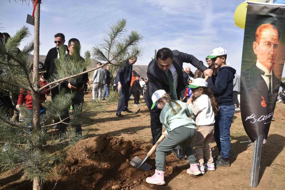 Bitlis’te ağaçlandırma seferberliği