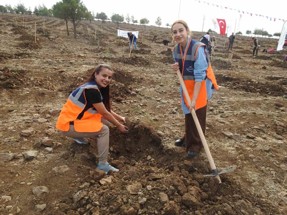 Kilis’te binlerce fidan dikildi