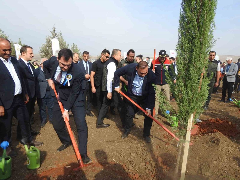 Kilis’te binlerce fidan dikildi