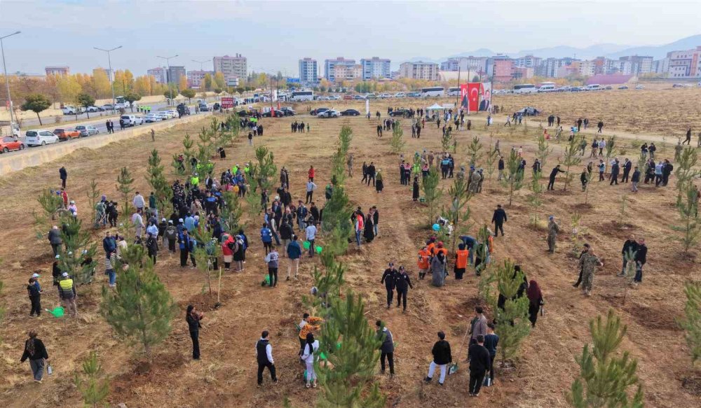 Muş’ta 20 bin fidan dikildi