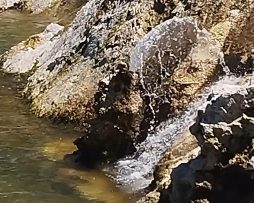 Van Gölü’nde şaşırtan görüntü: Mikrobiyalitten tatlı su fışkırdı