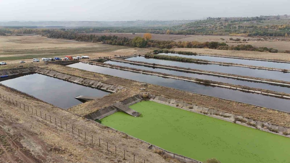 Yüksekova'da görevli polis memuru Diyarbakır'da ölü bulundu