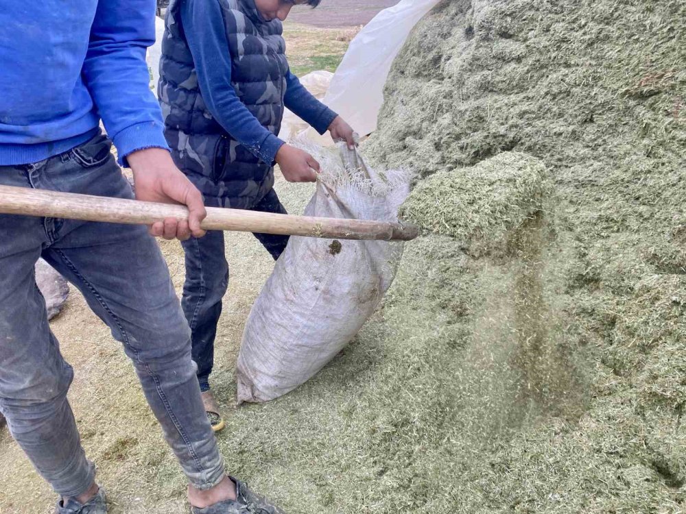Ağrı’da besiciler kış hazırlıklarına başladı