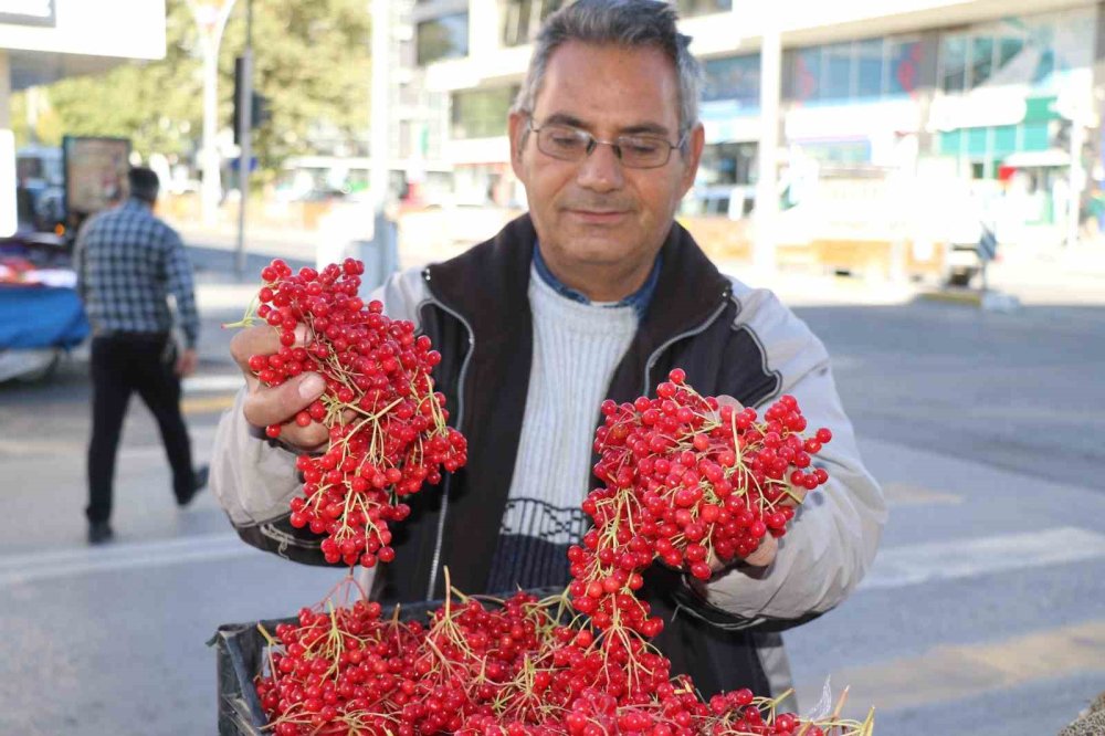 Erzincan’da şifa deposu gilaburuya yoğun ilgi