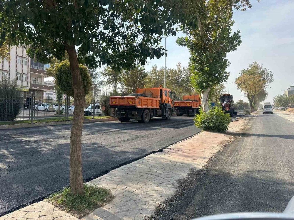 Keşke Adıyaman'a her gün Cumhurbaşkanı gelse!