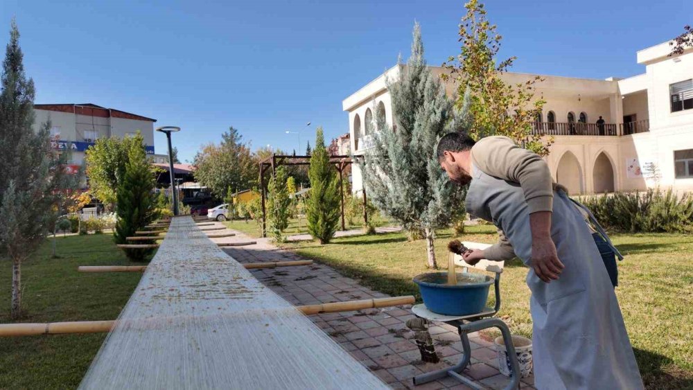 Siirt’te şal û şepik kumaşının coğrafi işaretinin Avrupa Birliği düzeyine taşınması hedefleniyor