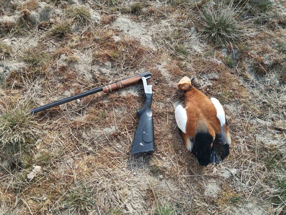 Erciş’te kaçak avcılıkla mücadele çalışması