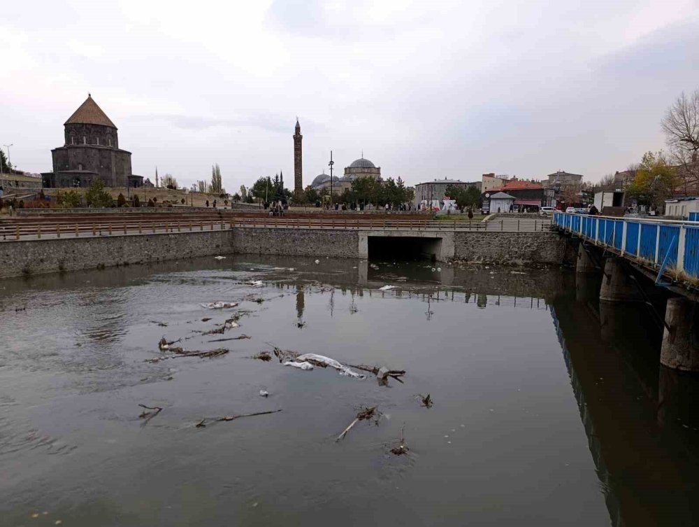 Kars Çayı alarm veriyor