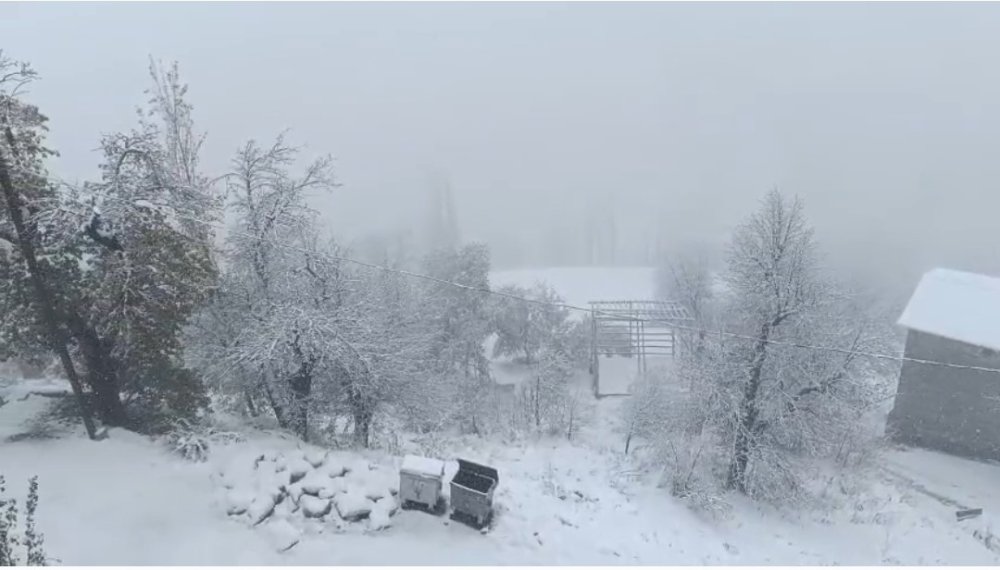 Van’ın Bahçesaray ilçesinde kar etkili oldu
