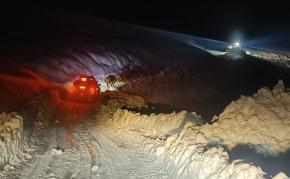 Durankaya'da yaylada mahsur kalan hayvanlar kurtarıldı