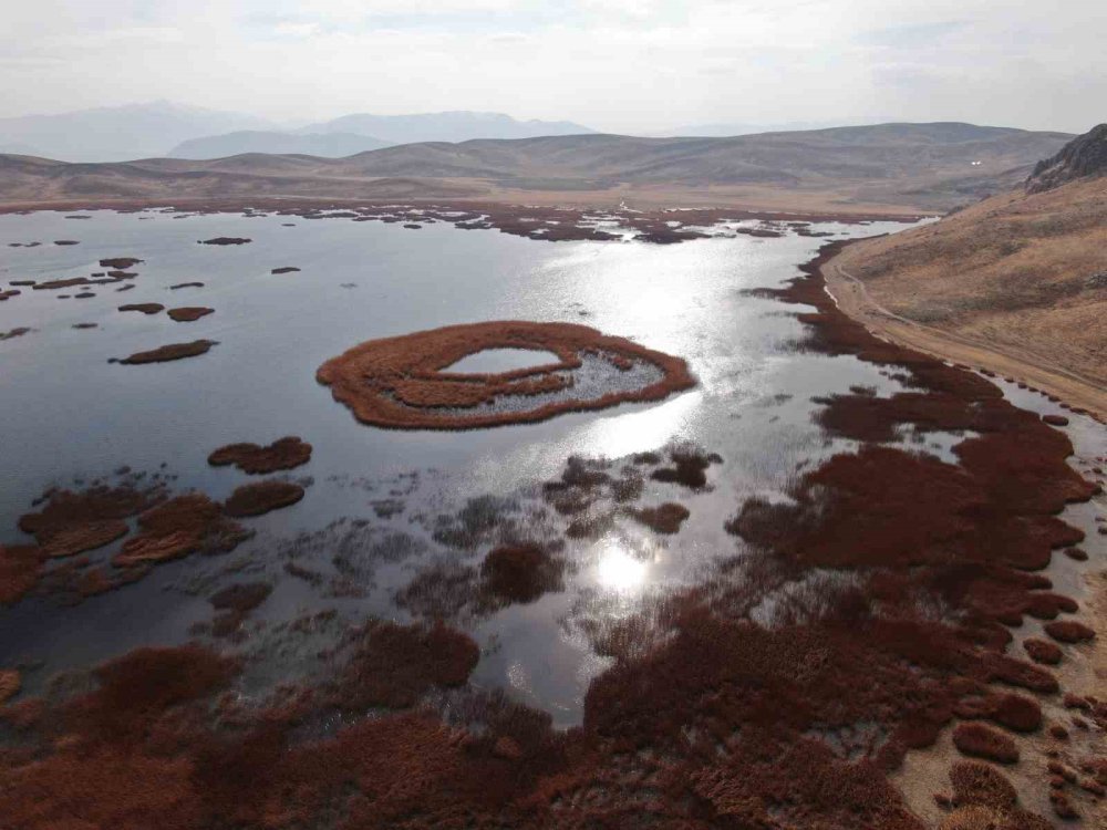 Van’daki Keşiş Gölü’nde su seviyesi endişe veriyor