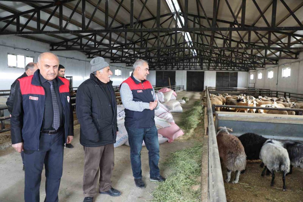 Devletten aldığı destekle küçükbaş hayvan çiftliği açtı